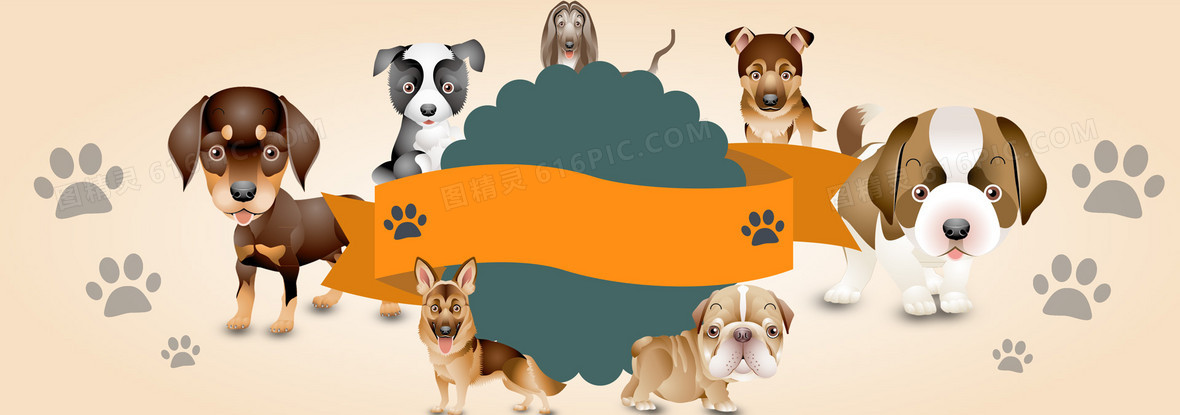 Silent Suffering: How to Tell if Your Pet is in Pain